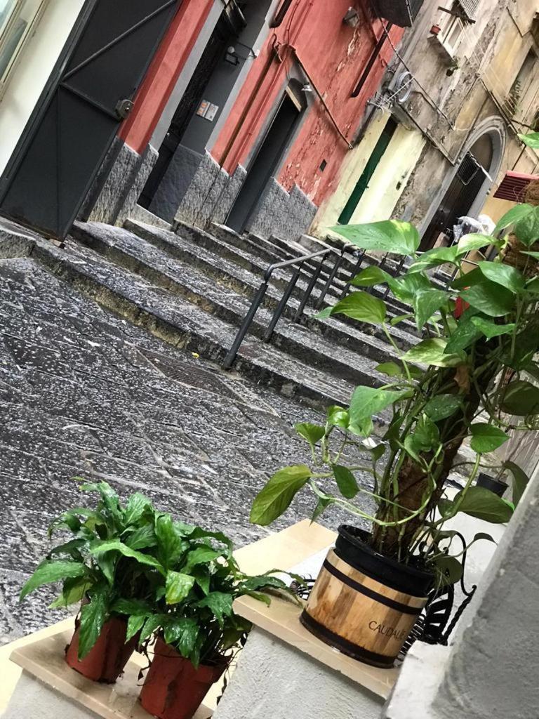 Casa Mari' Centro Storico Vicino Hotel Caracciolo Neapol Zewnętrze zdjęcie